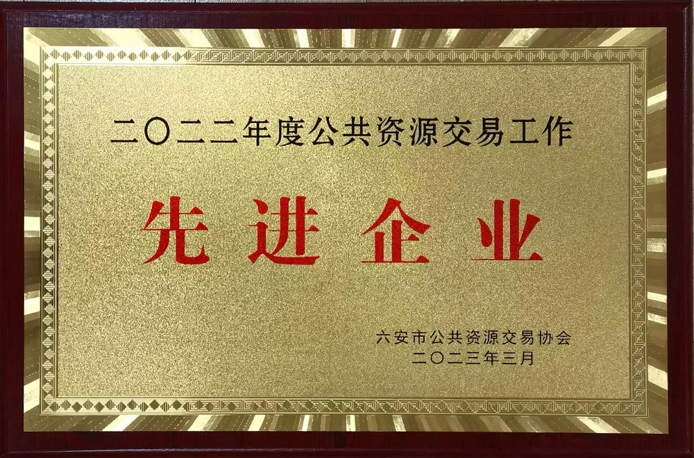 2022年度六安市公共资源交易工作先进企业202303.jpg